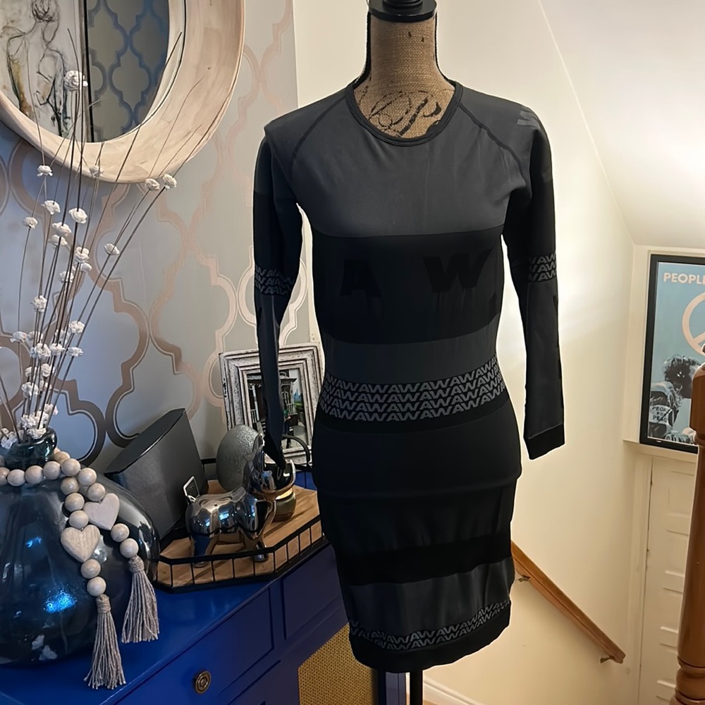 Alexander wang fitted dress